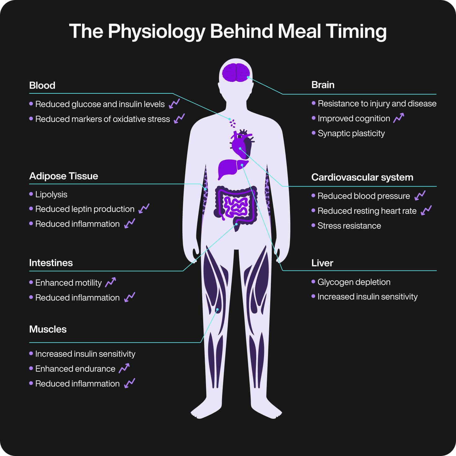 foods that increase metabolism