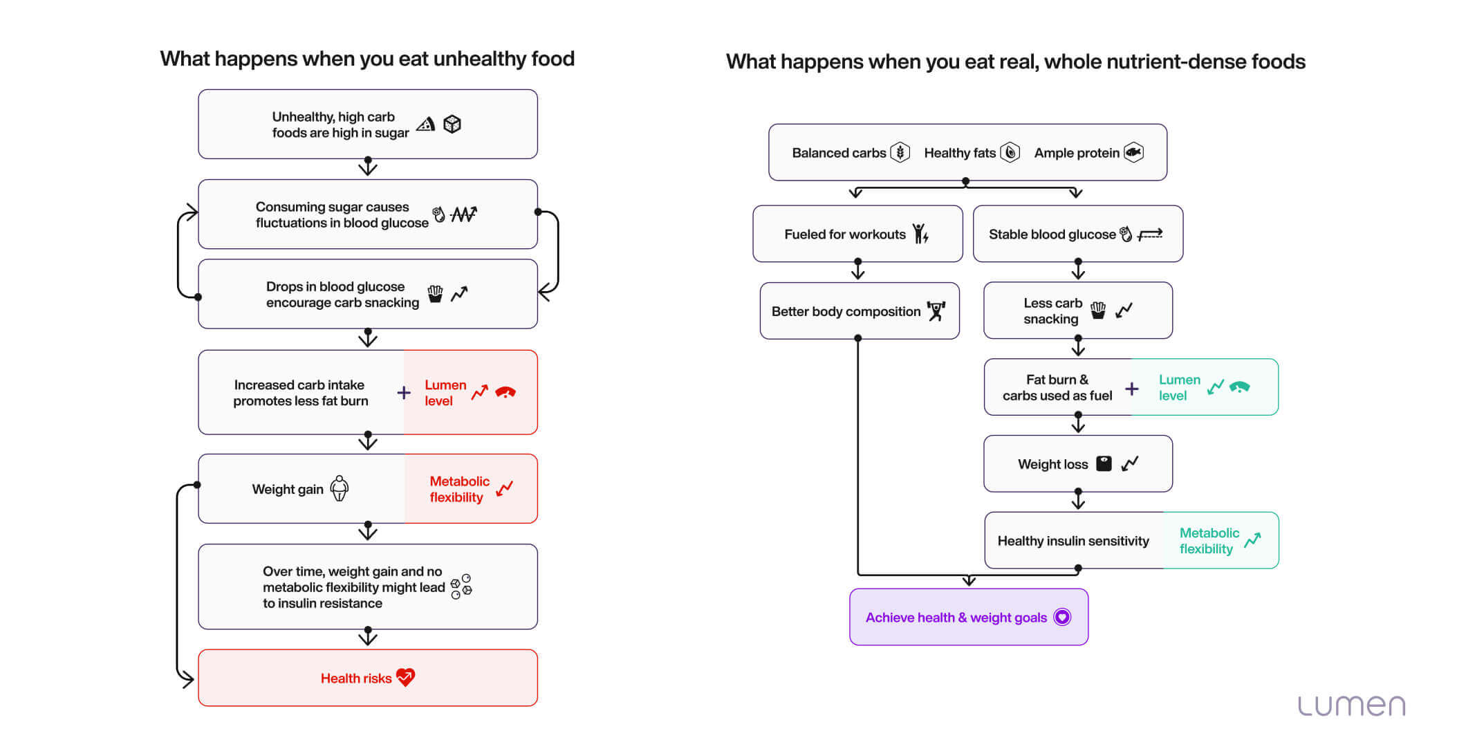 metabolically flexible and metabolic inflexibility