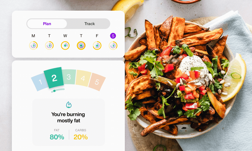 carb cycling meal plan